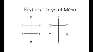 R et S , Cis et Trans , Erythro, Thryo et Méso