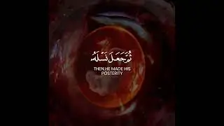 Holy Quran @ayahquran3746 @DecodeLifeWellbeing