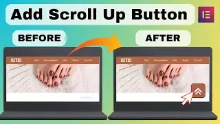 How to Add a Scroll Up Button on Elementor in Less Than a Minute