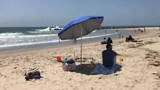 Surfers and Seagulls at Venice Beach California | Life Is Suffering Philosophy