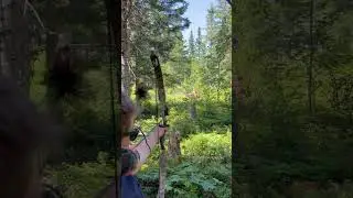 Could You Hit a Moving Bow/Archery Target: Dynamic Range X1 Plus in Action