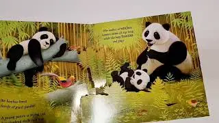 Pop Up Animals