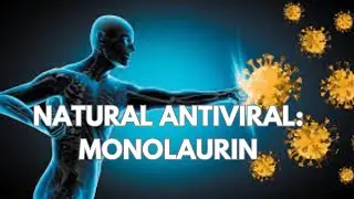 Herpes Tip | Monolaurin to fight Chronic Herpes Infections (HSV-1/HSV-2, Epstein-Barr Virus)