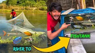 Nadi Fishing se Ghar ke Fishtanks tak😜🥳❤️