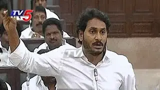 YSRCP Walkout From Assembly Over Unemployment Allowance | AP Budget Sessions | TV5 News