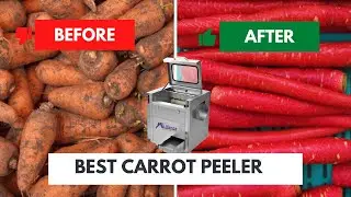 Best Carrot Peeler cum Washer #Allianceslice #carrot #vegetablepeeler