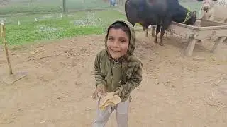 Last Vlog 2025 ll Sohna Punjab Official ll #pakistan #vlog #subscribe 