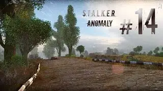 S.T.A.L.K.E.R. Anomaly #14 (Ученый)