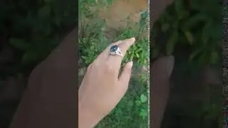 Labradorite Ring, Sterling Silver Ring, Natural Labradorite Ring, Cocktail Ring, 4K VIDEO