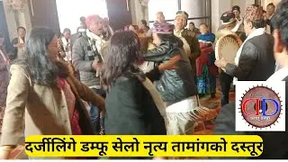 दर्जीलिंगे डम्फू सेलो नृत्य तामांगको दस्तूर / Tamang Selo Dance / Damfoo Damfoo /