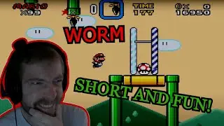 Worm | Kaizo Intermediate
