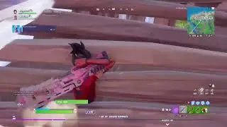 Arena with wogdog