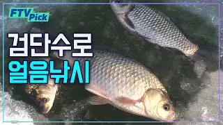 다가오는 얼음낚시 시즌! 검단수로 붕어 얼음낚시 [FTVpick]
