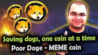 My 2024 Experiment with Meme Coins Changed Everything - $PDoge