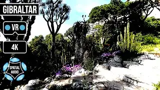 360&deg; La Alameda Gardens 1 | Gibraltar | VR Ambisonics