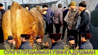 65 МИЛЁНЛИК  БУКА 😳.  АКА  ЁНИБ  КУЙИБ  САВДОНИ  ХАМ ЁНДИРВОРДИ. 