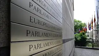 Cedefop Executive Director at the European Parliament Committee on Employment and Social Affairs