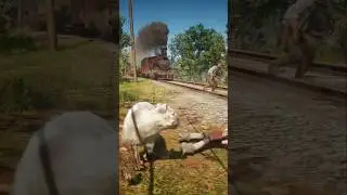 Simulate extreme survival skills vol1073rdr2#shorts#short