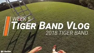 Tiger Band Vlog || Week 5