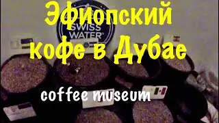VLOG Дубай / Пьём эфиопский кофе в Дубае / Музей кофе / Coffee museum / Жизнь в Дубае