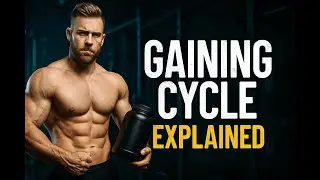 Gaining/Bulking cycle for Beginners