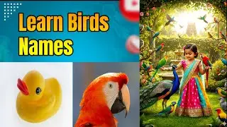 Amazing Bird Names for Kids! | Learn Bird Names with Pictures & Sounds | Educational Video