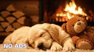 🔴 Double Cuddle: Warm Fireplace Ambience & Puppy Sleep Music for Deep Relaxation 🐾❤️