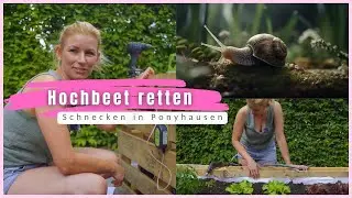 Schnecken in Ponyhausen I Rette das HOCHBEET I Annica vs Nackt Schnecke