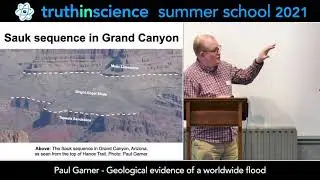 Geological evidence for a worldwide flood