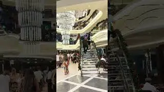 MSC World America Cruise