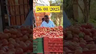 B.kothakota ksb tomato market top rates#tomato #rates #price