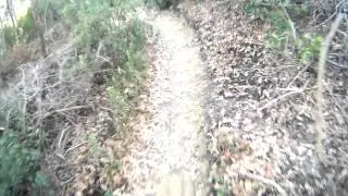 MTB - Roveta (Scandicci) - TravelGum