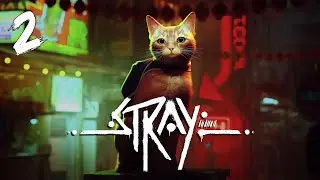 Stray - Robot Navi