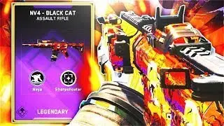Is The New Nv4 Variant good you decide