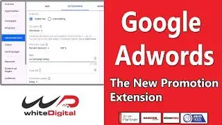 The New Google AdWords Promotion Extension