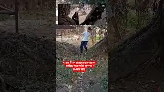 Batwara film shooting location||#dharmendra #vinodkhanna #batwara #movie #youtubeshorts