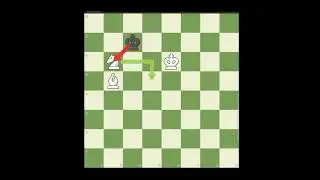 Bishop and Knight Mate using Mating Net #BishopandKnightMate #MatingNet #highlights #followers#chess