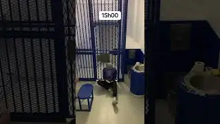 Le quartier disciplinaire en prison en France 🇫🇷