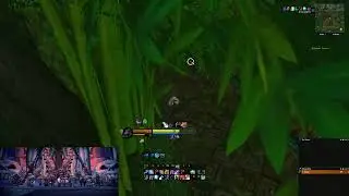 Solo ZG, voodoo piles/dolls farm