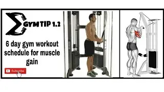 6 Day Gym Workout Schedule For Muscle Gain And My Song Is , NCS #short