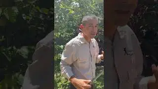 As&iacute; nace Ectotermia Herpetario