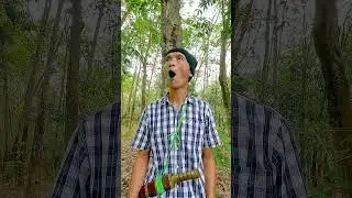 Forest Survival Hideout#entertainment #birdsounds #shorts #camping #survival