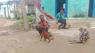Bandar ka khel 😄😊✅....! #khel #viralvideo 