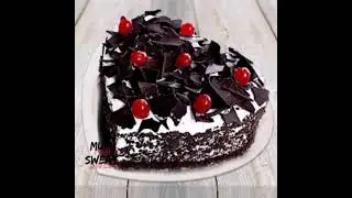 fancy cake  mufi sweat
