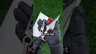 Everything You Need To Know About Mini Katana