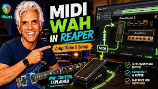 Подключите педаль экспрессии MIDI к эффекту «вау» в плагине AmpliTube 5 в Reaper
