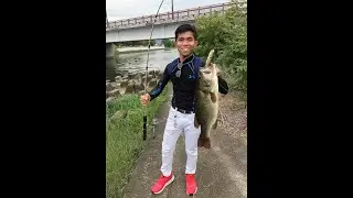 Bass Fishing in Biwa Lake