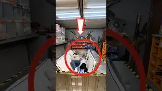 Earthquake Proof Bed Drops You Into a Survival Shelter Genius Invention!😱