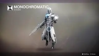 D2 Last Wish Raid Warlock Full Armor Set Great Hunt