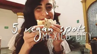 TOP 5 Vegan Restaurants in Mexico City (CDMX) What I ate in Mexico